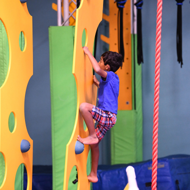 ninja-ninja ninja-ninja